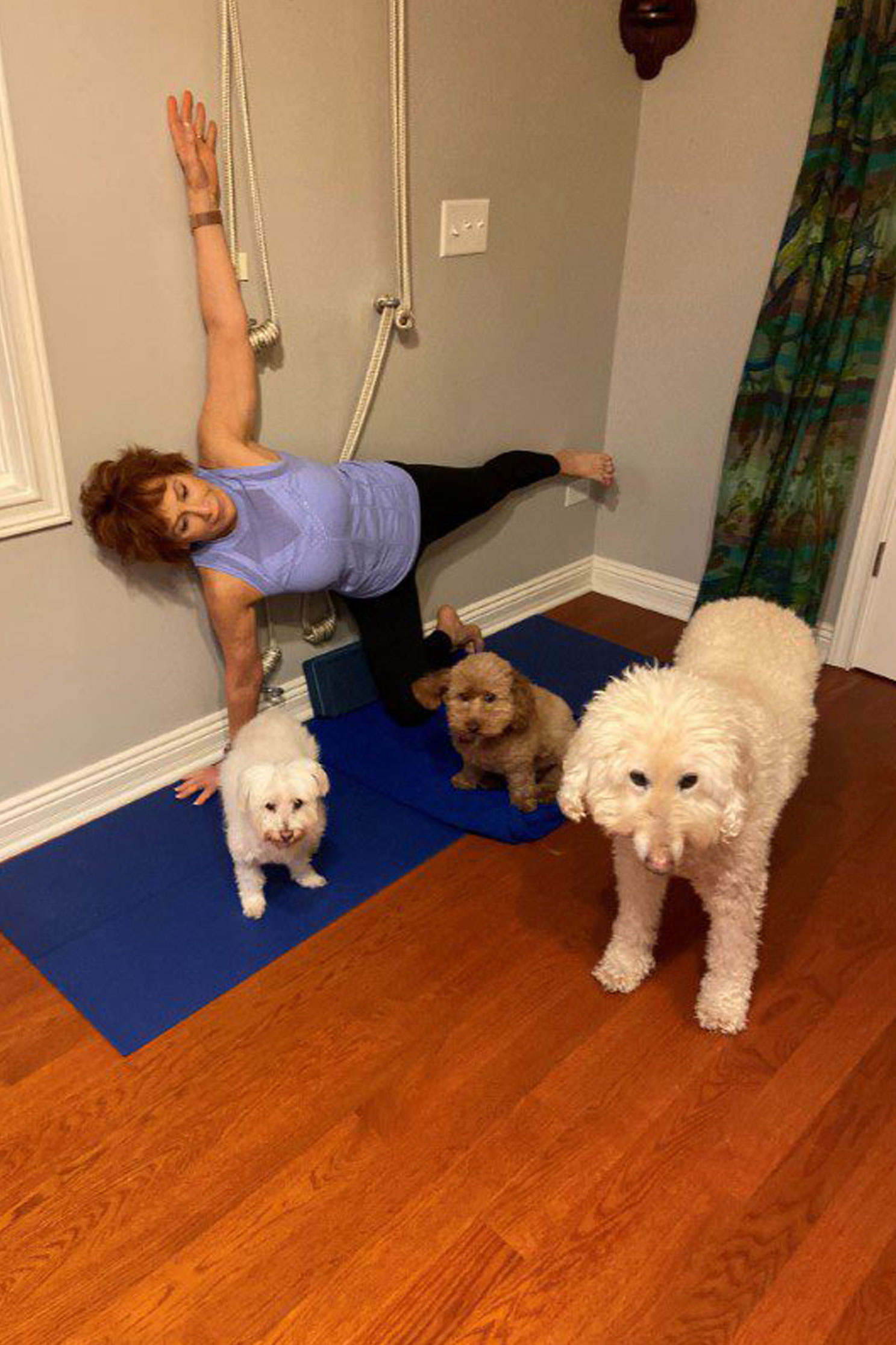 workout with dogs